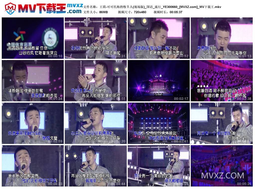 王琪-可可托海的牧羊人(现场版)_国语_流行_YE300660